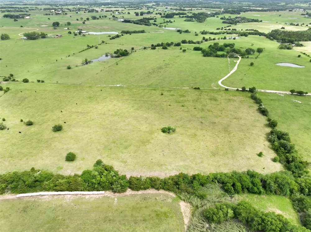 4425 Franke Road New Ulm, TX 78950