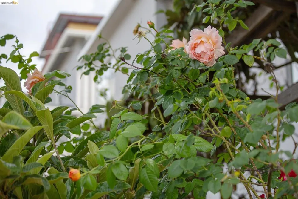 1825 Highland Pl. #1831 Berkeley, CA 94709