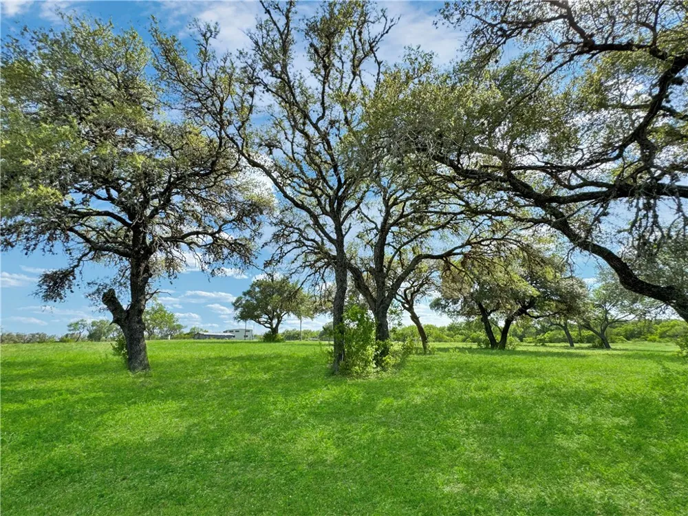 4552 Mineral Cemetery Beeville, TX 78102