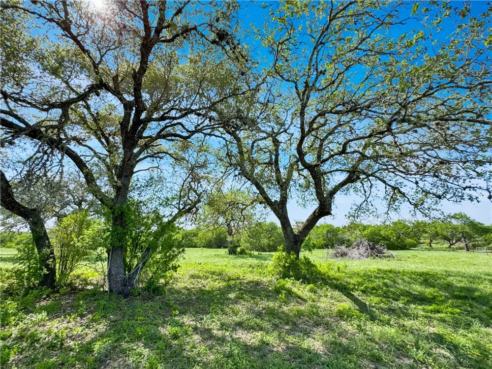 4552 Mineral Cemetery Beeville, TX 78102