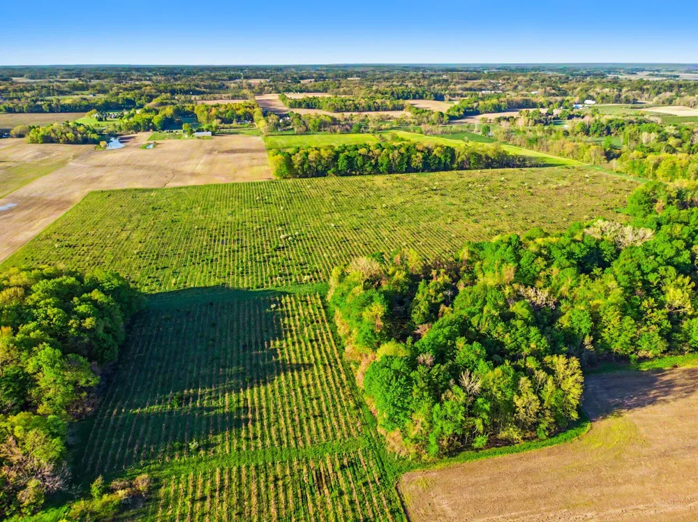 E Lemon Creek Road Berrien Springs, MI 49103