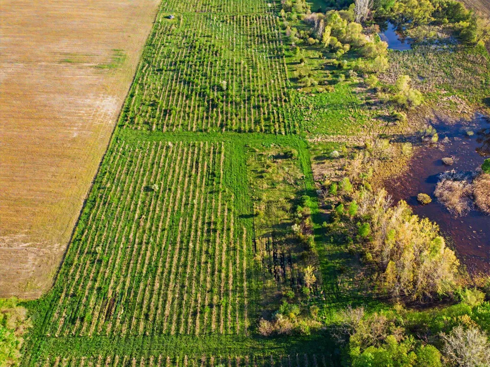 E Lemon Creek Road Berrien Springs, MI 49103