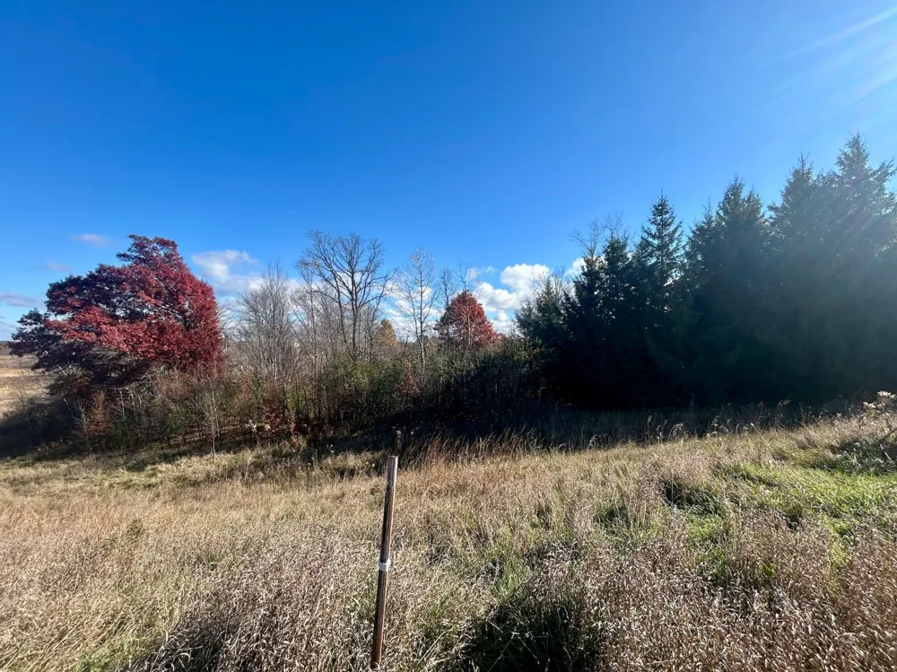 TBD 125th Street Amery, WI 54001