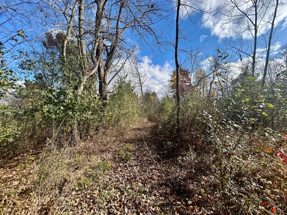 TBD 125th Street Amery, WI 54001