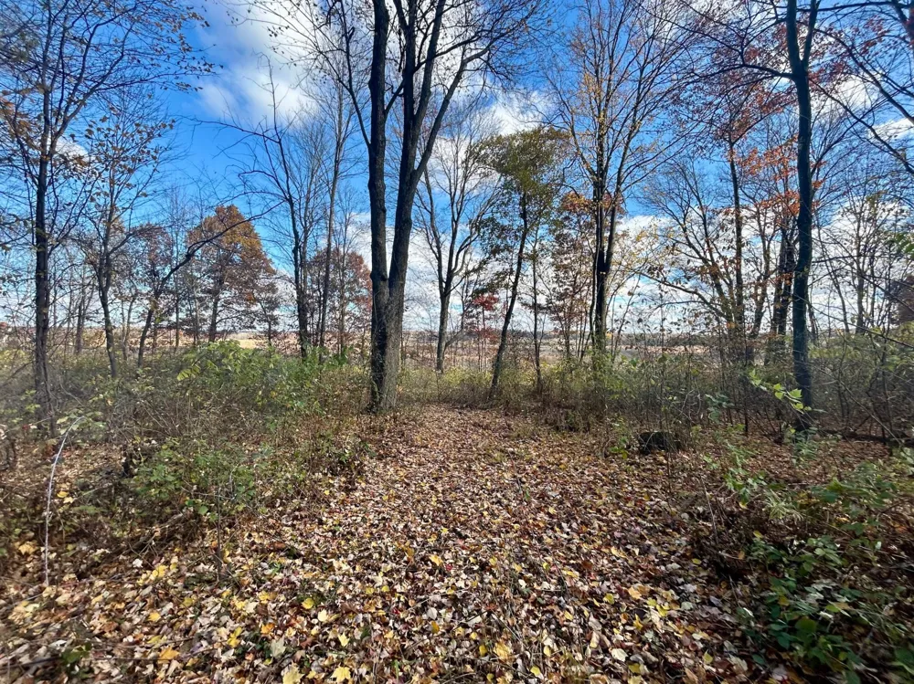 TBD 125th Street Amery, WI 54001