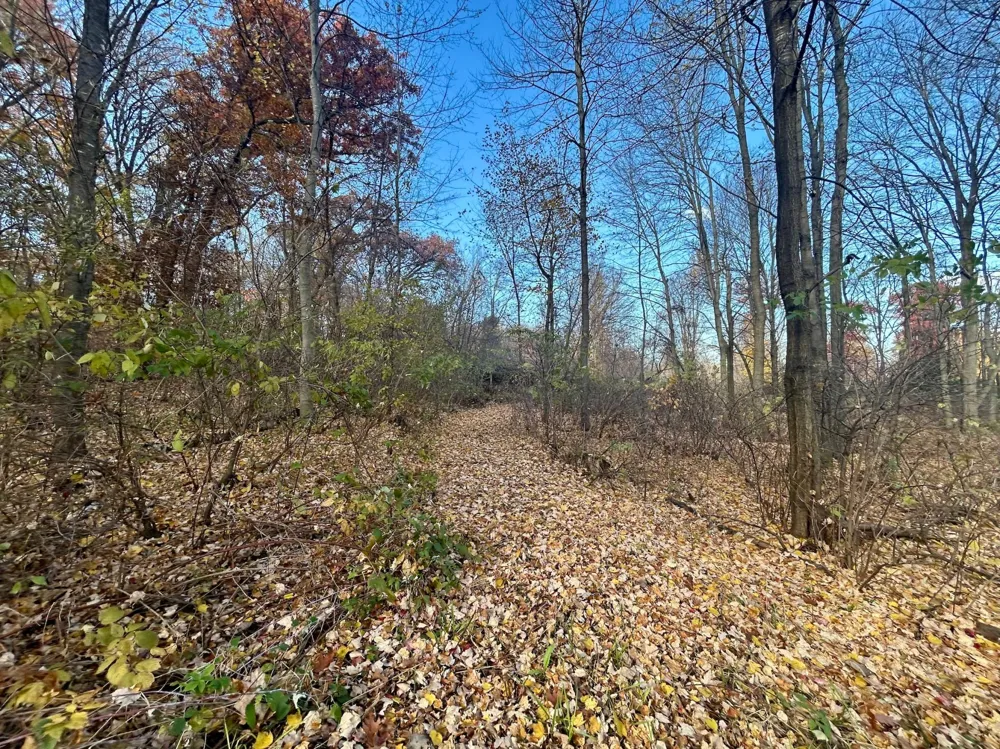 TBD 125th Street Amery, WI 54001
