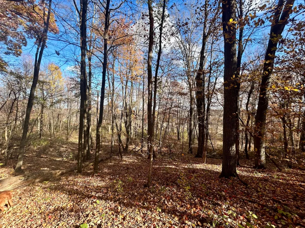 TBD 125th Street Amery, WI 54001