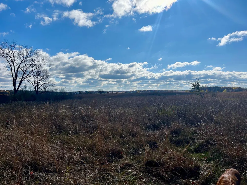 TBD 125th Street Amery, WI 54001