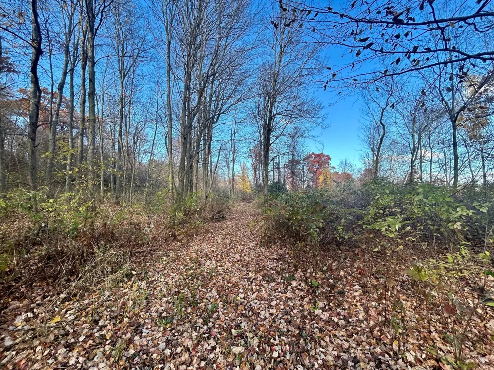 TBD 125th Street Amery, WI 54001