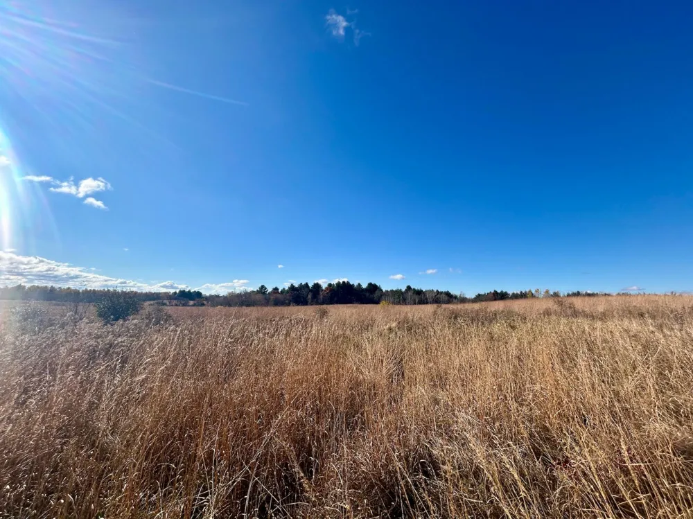 TBD 125th Street Amery, WI 54001