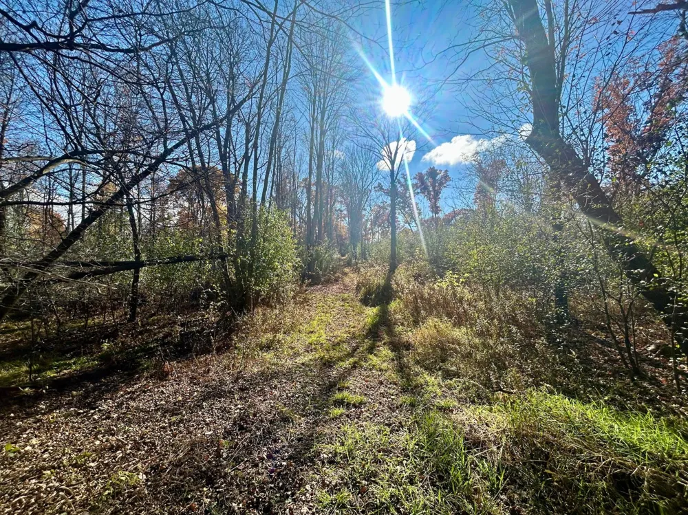 TBD 125th Street Amery, WI 54001