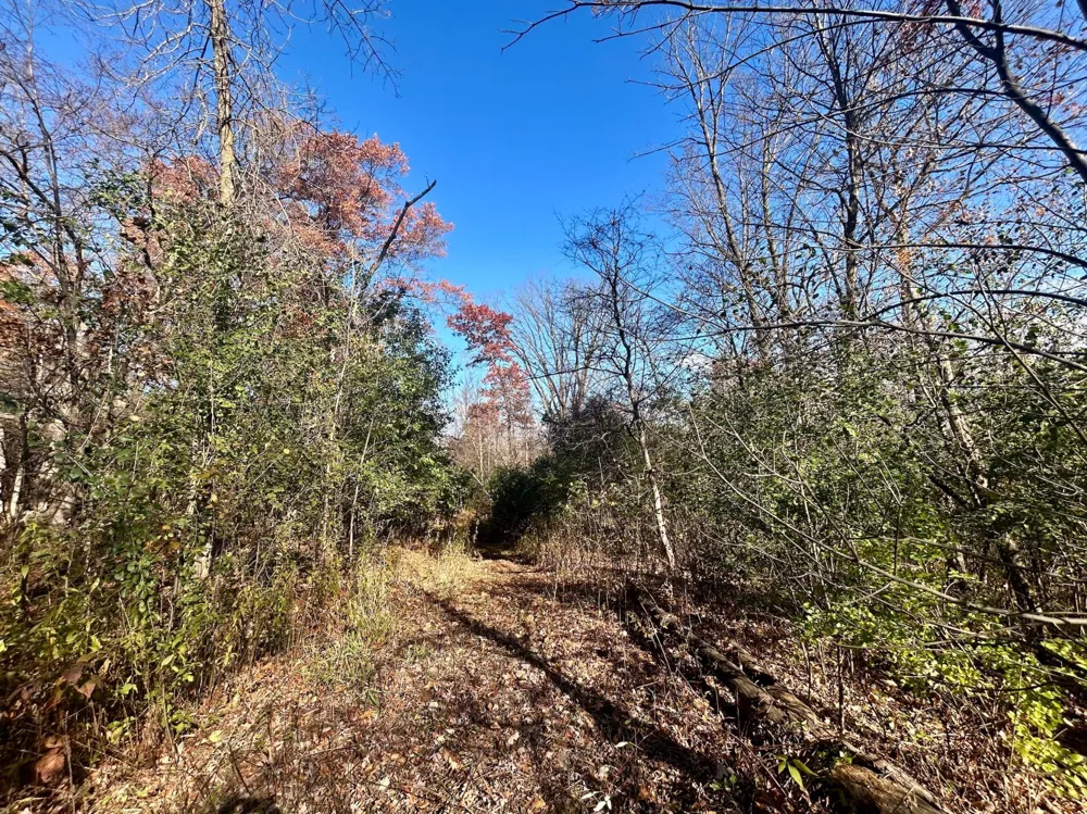 TBD 125th Street Amery, WI 54001