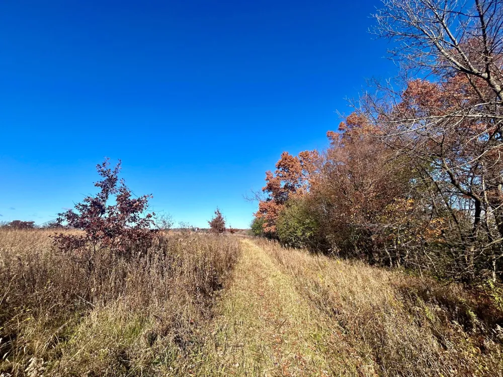 TBD 125th Street Amery, WI 54001