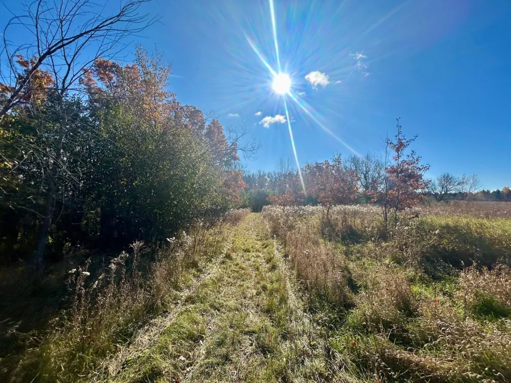 TBD 125th Street Amery, WI 54001