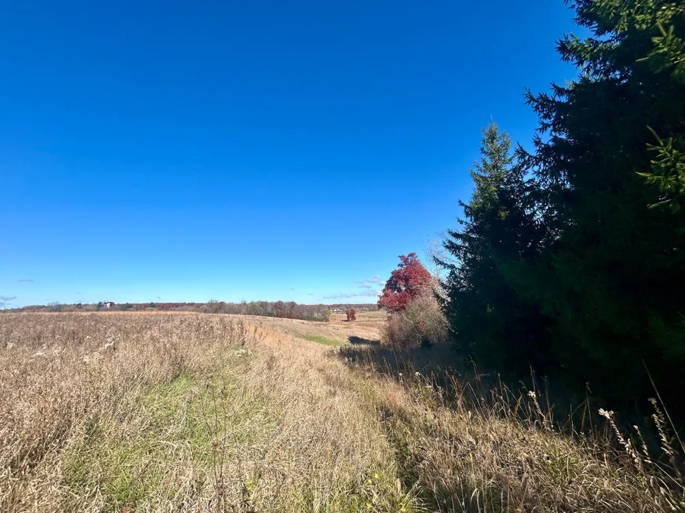 TBD 125th Street Amery, WI 54001