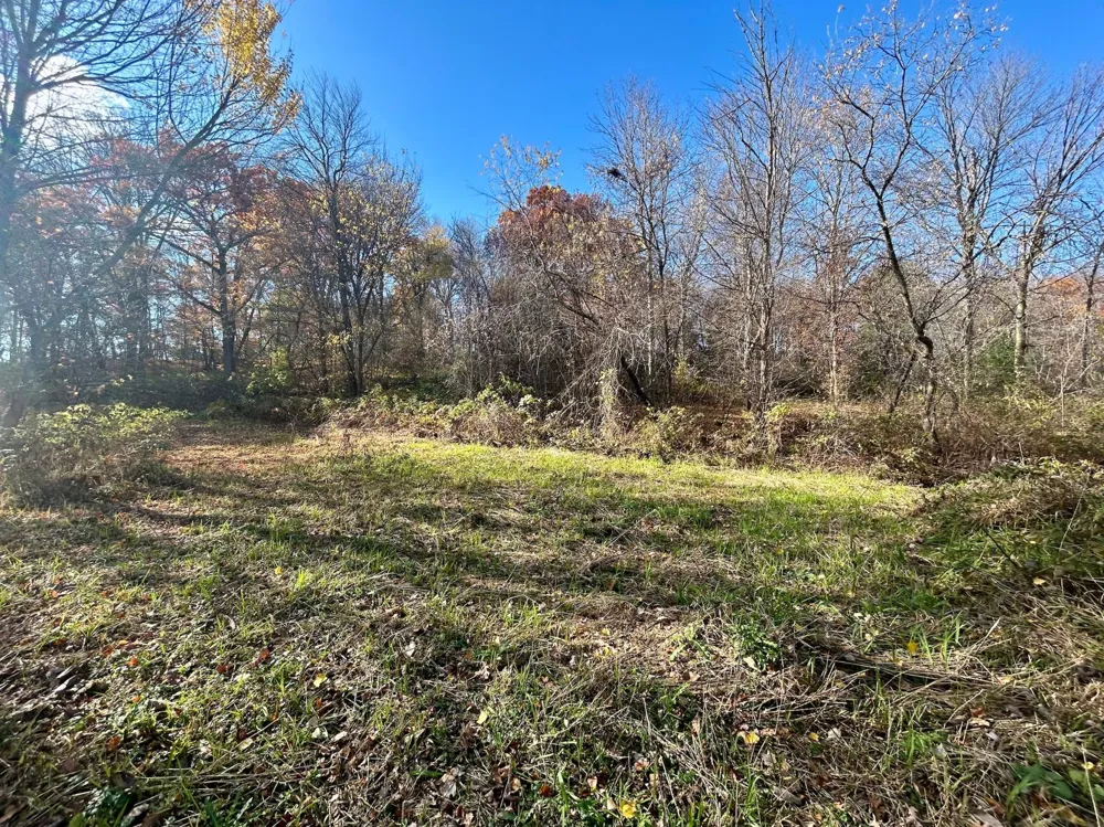 TBD 125th Street Amery, WI 54001