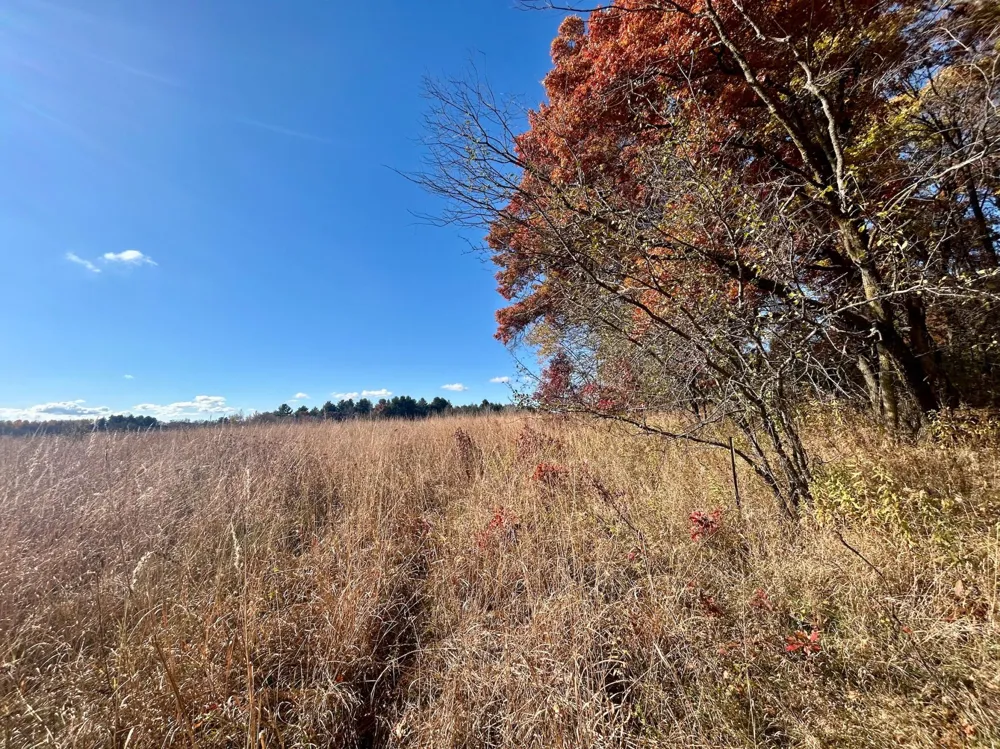 TBD 125th Street Amery, WI 54001