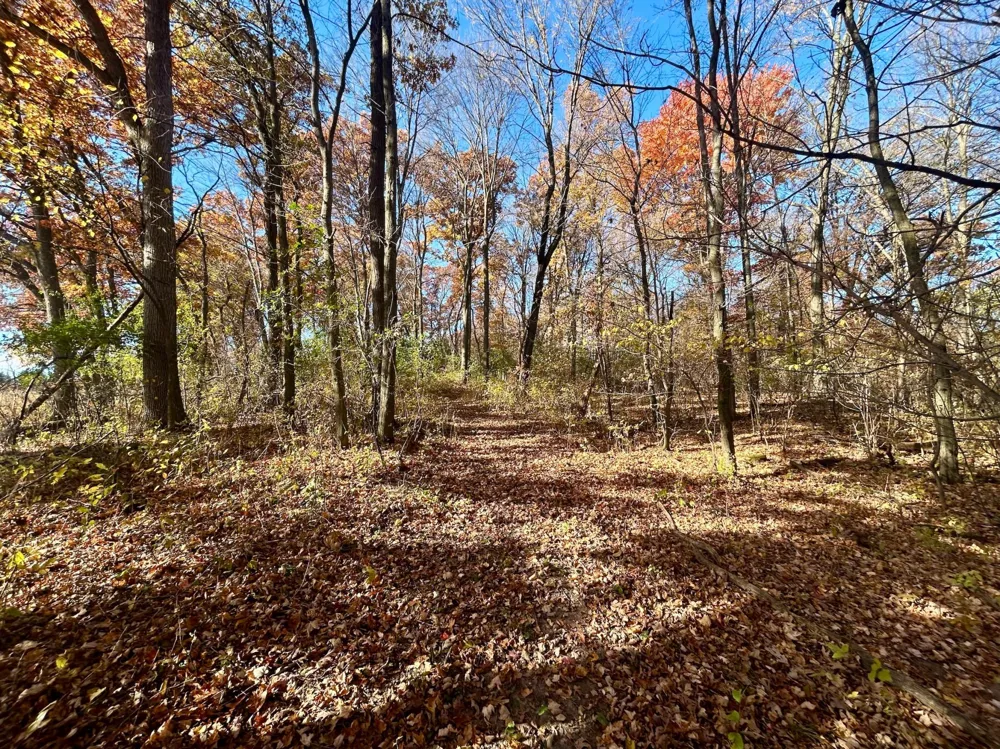 TBD 125th Street Amery, WI 54001