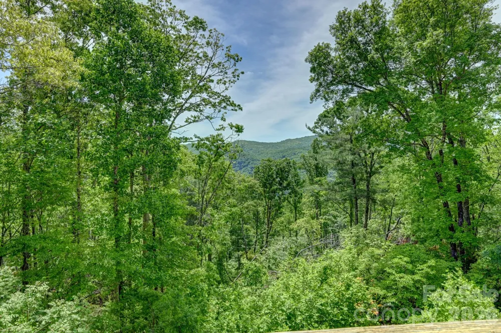 491 High Top Drive Fletcher, NC 28732