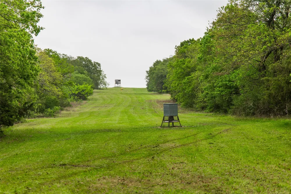 5531 NE County Road 3130 Kerens, TX 75144