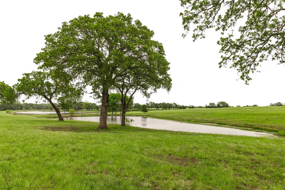 5531 NE County Road 3130 Kerens, TX 75144