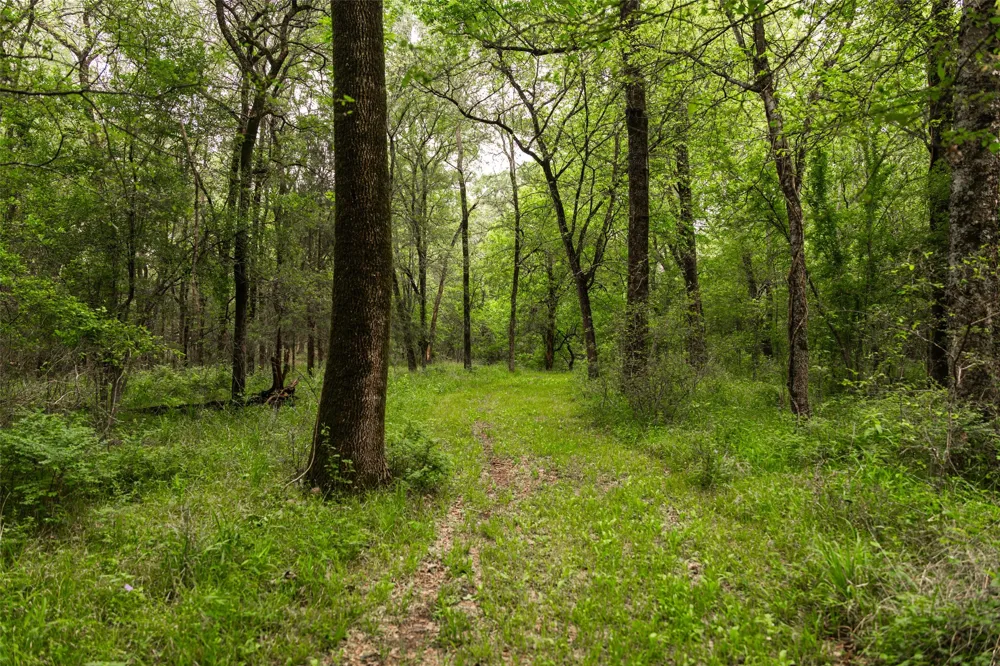 5531 NE County Road 3130 Kerens, TX 75144