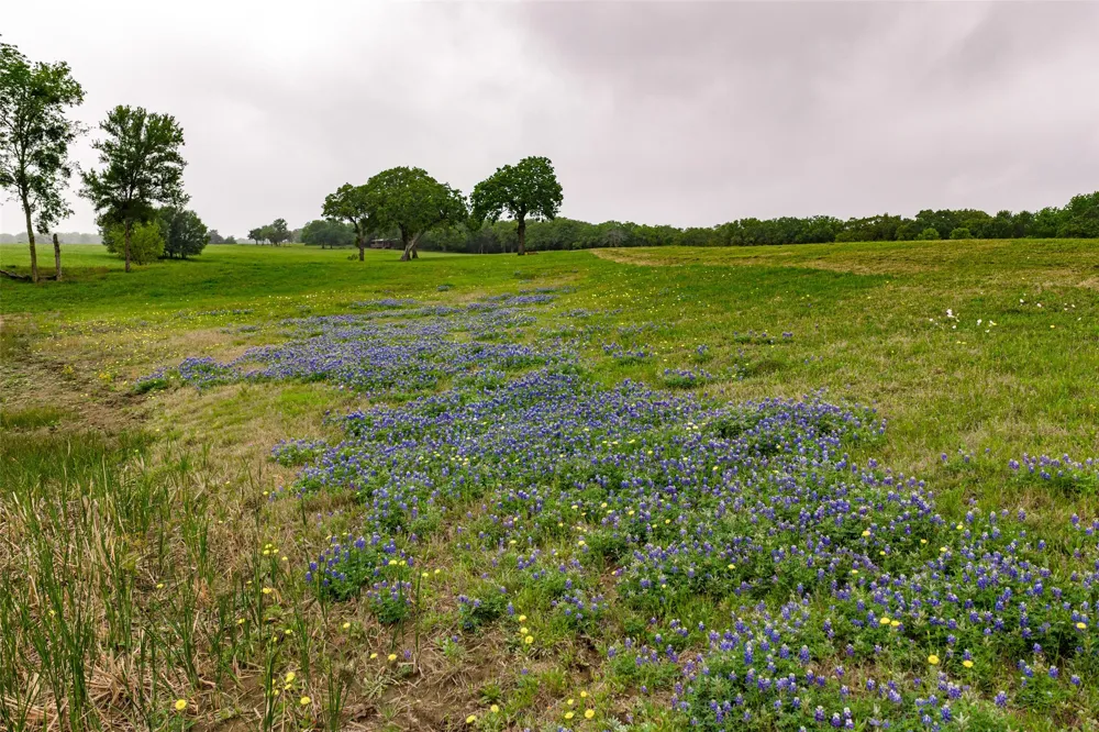 5531 NE County Road 3130 Kerens, TX 75144