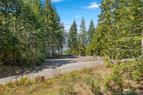 0 White Tail Trail