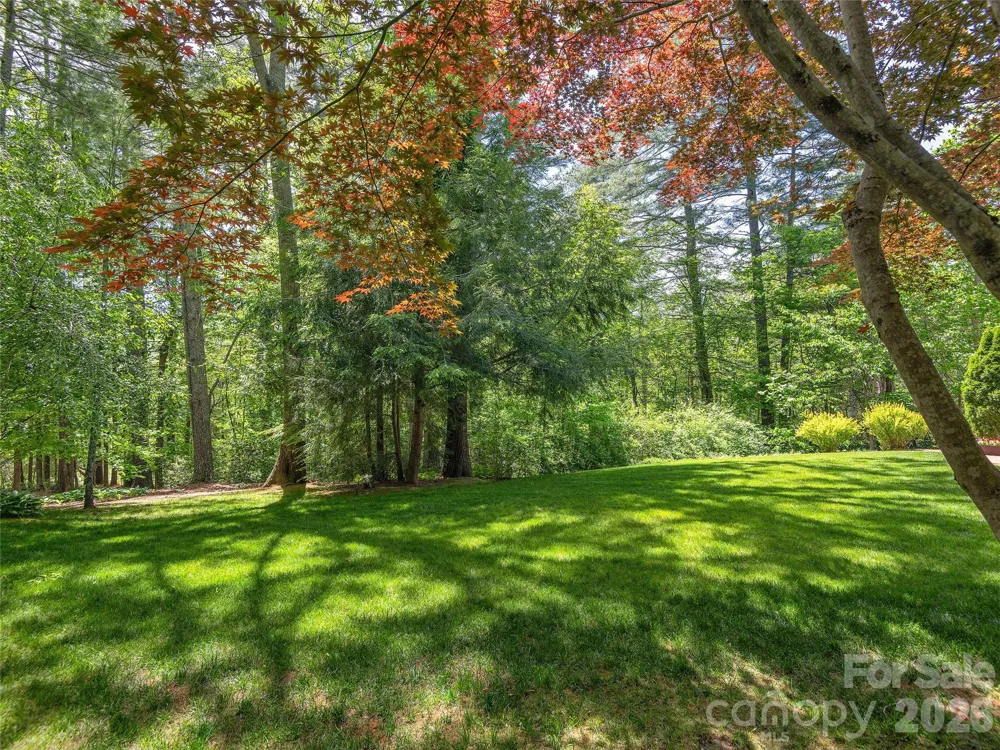 81 Old Gap Creek Road Fairview, NC 28730