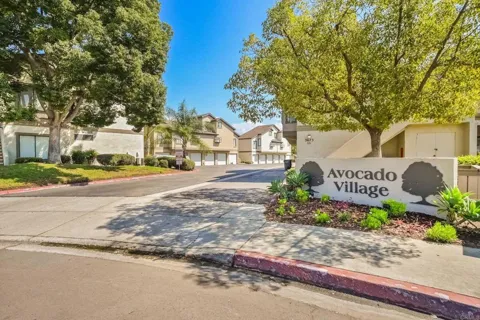 3641 Avocado Village Court #149