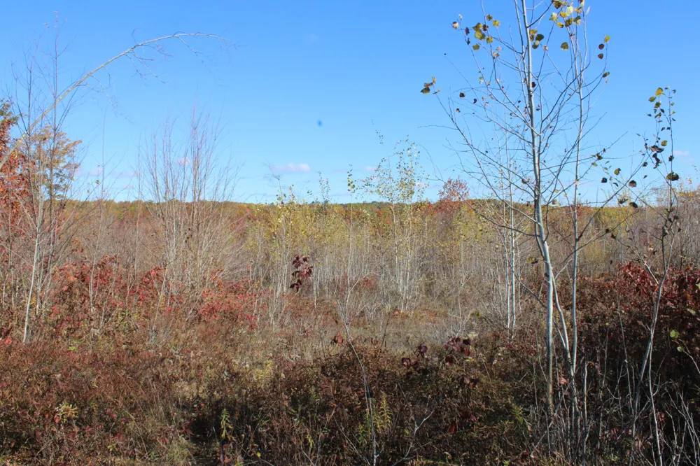 Railroad Grade Rd Harrison, MI 48625