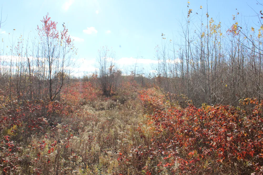 Railroad Grade Rd Harrison, MI 48625