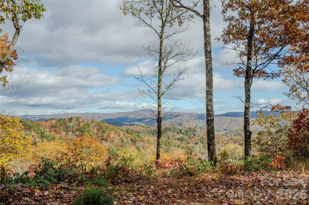 195 Still Waters Lane Brevard, NC 28712