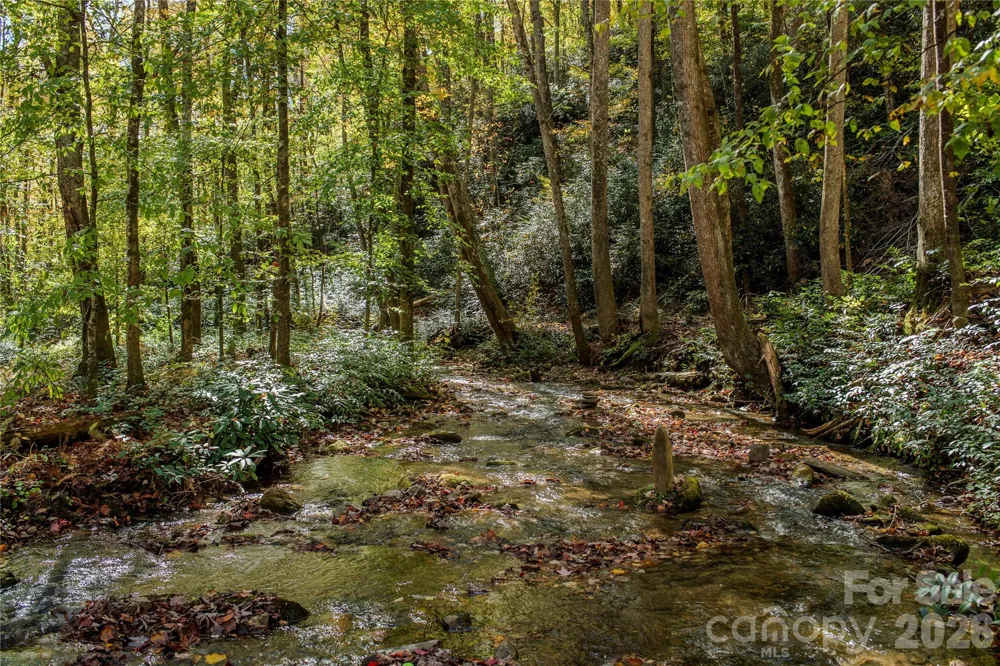 195 Still Waters Lane Brevard, NC 28712