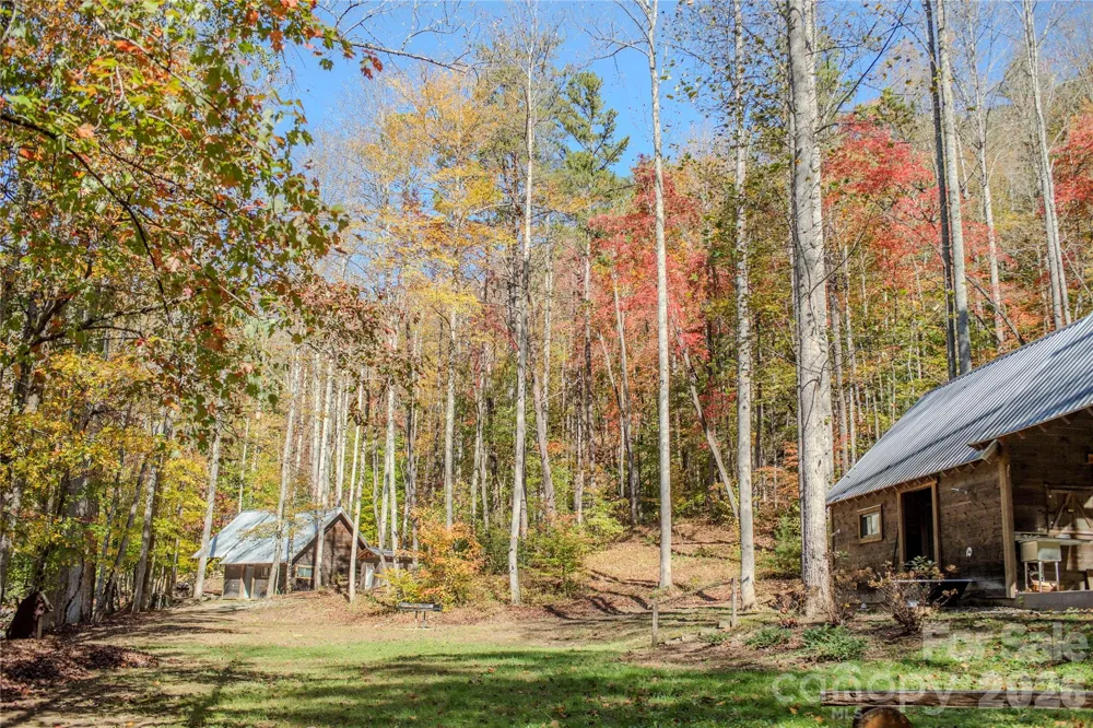 195 Still Waters Lane Brevard, NC 28712