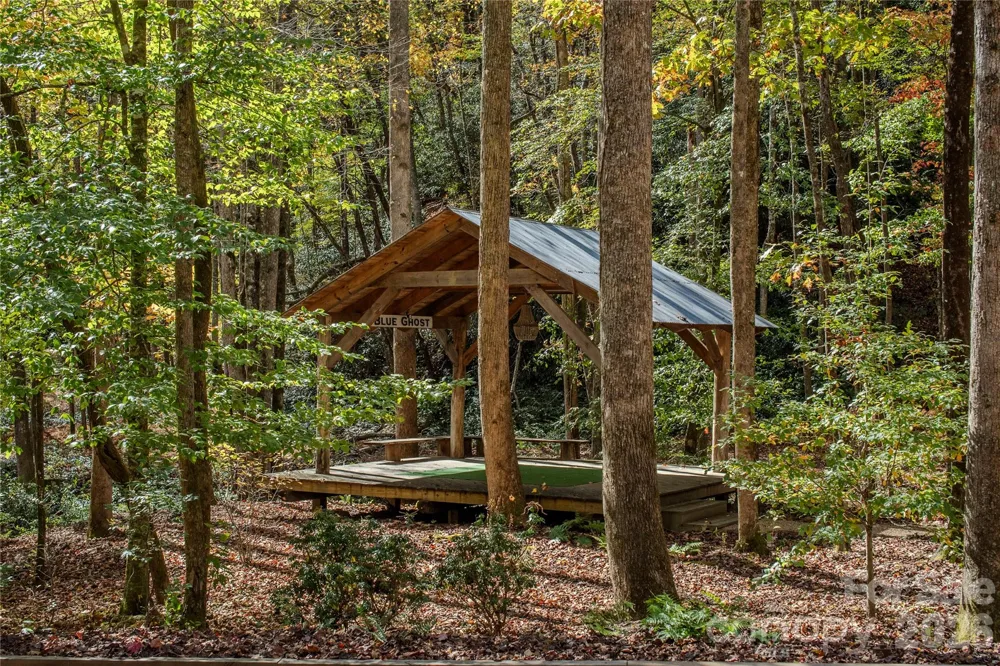195 Still Waters Lane Brevard, NC 28712