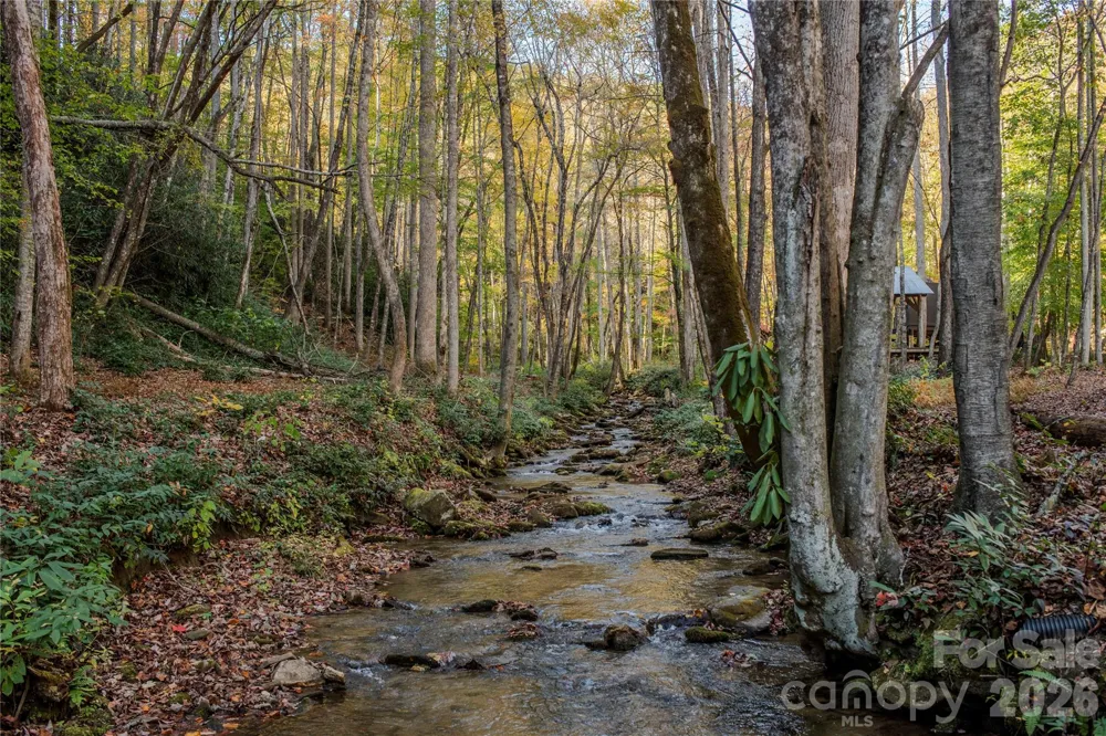 195 Still Waters Lane Brevard, NC 28712