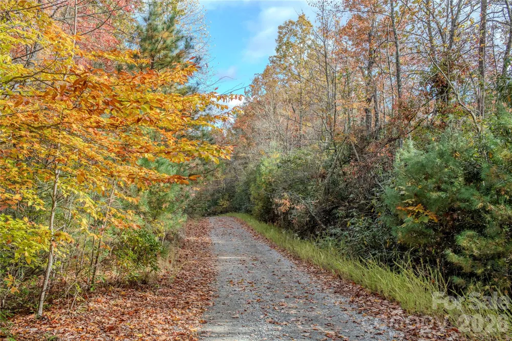 195 Still Waters Lane Brevard, NC 28712