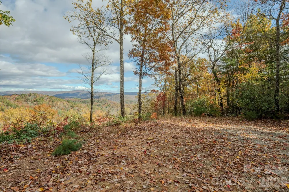 195 Still Waters Lane Brevard, NC 28712