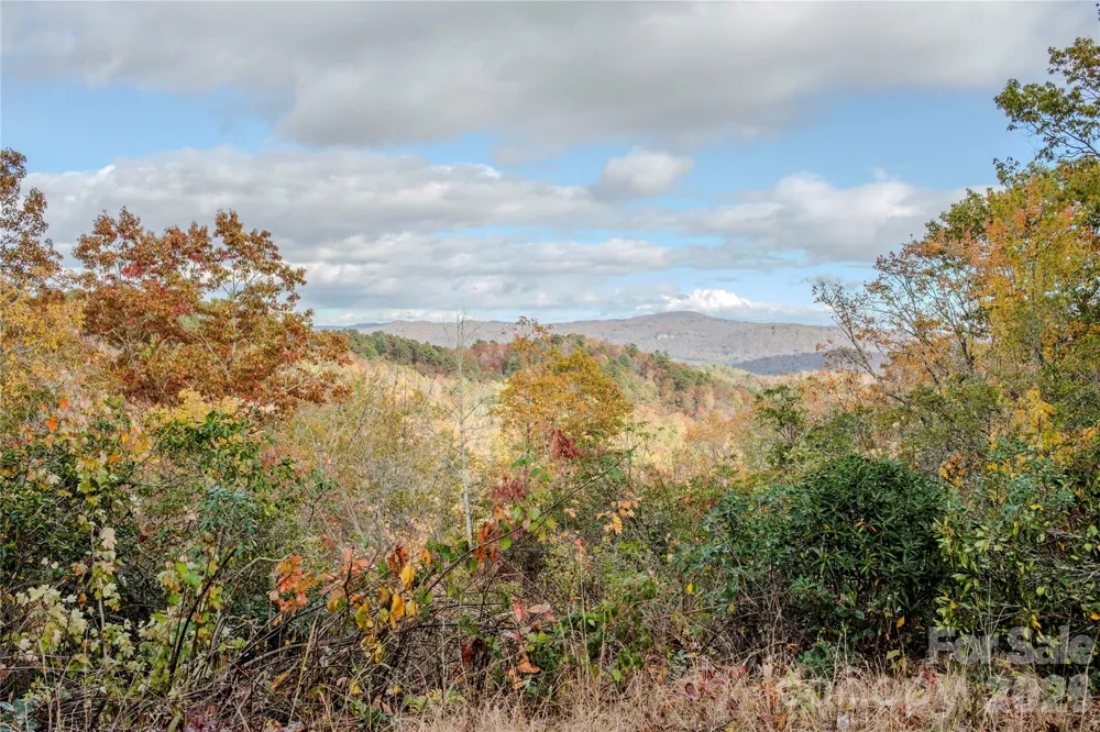 195 Still Waters Lane Brevard, NC 28712