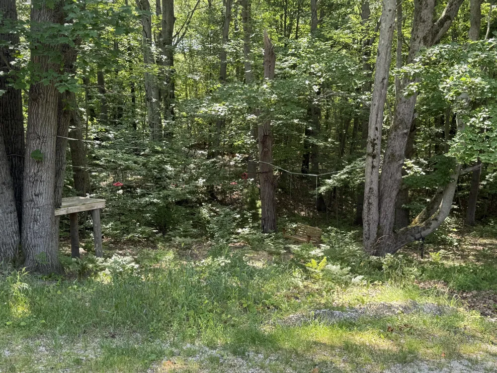 6774 Mears Road Hamlin Township, MI 49431