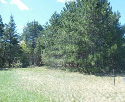 TBD Red Sequia Drive
