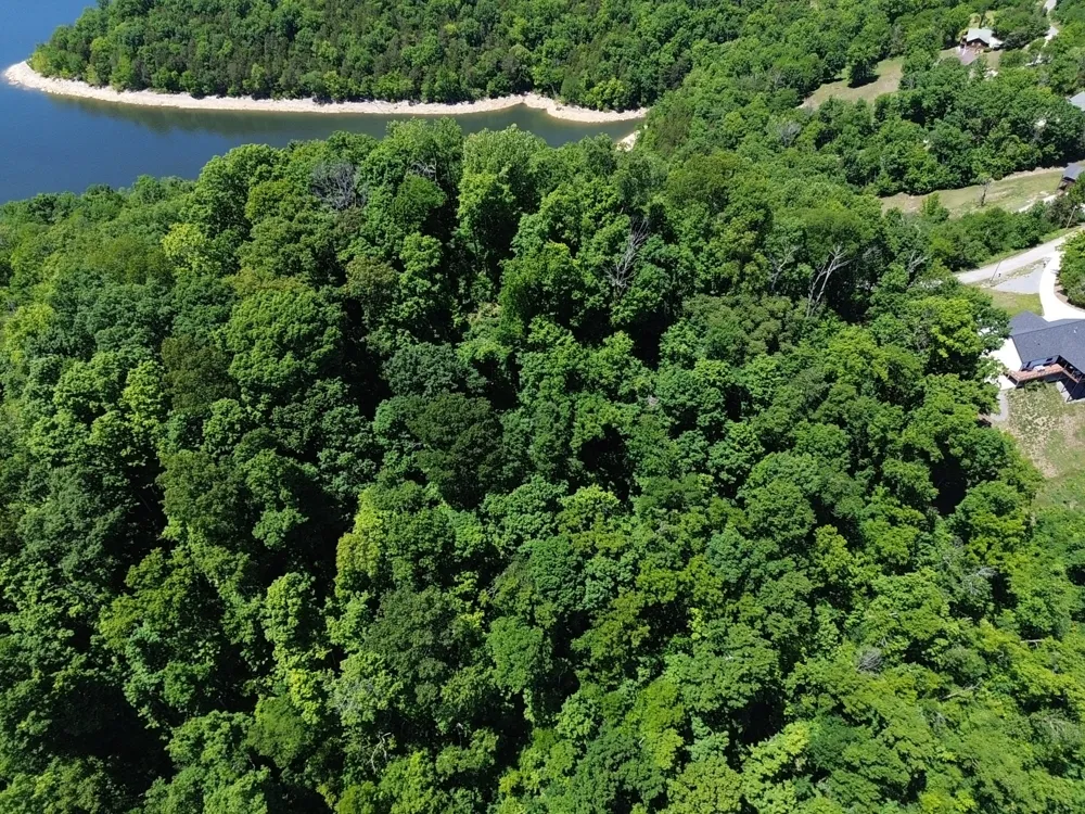 705 Harbor Pointe Dr Silver Point, TN 38582