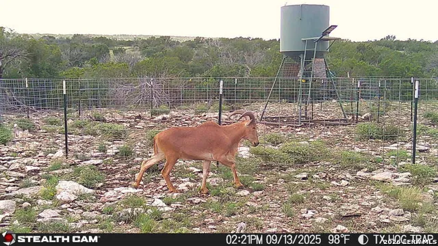 0 W Cooper Rd Comstock, TX 78837