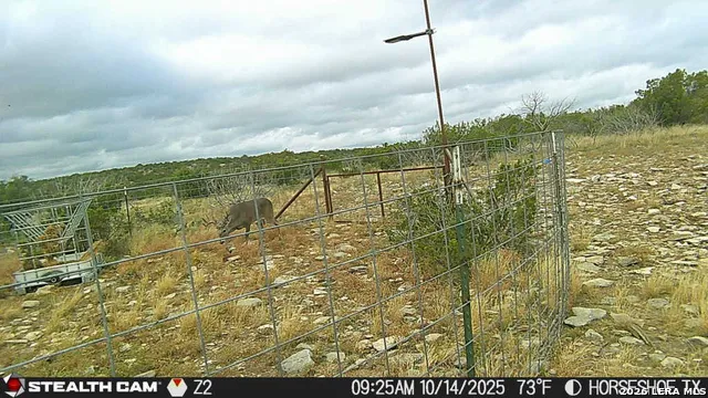 0 W Cooper Rd Comstock, TX 78837