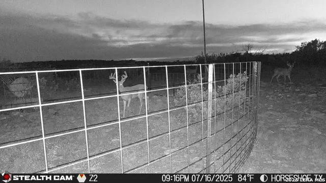 0 W Cooper Rd Comstock, TX 78837
