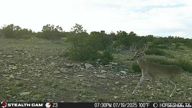 0 W Cooper Rd Comstock, TX 78837