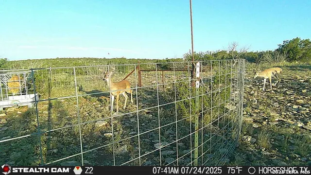 0 W Cooper Rd Comstock, TX 78837