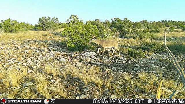 0 W Cooper Rd Comstock, TX 78837