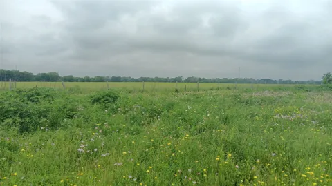CR494N